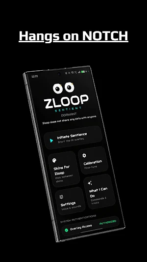 Zloop Screenshot 2