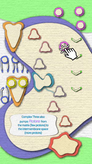 Powerhouse of the Cell Screenshot 3