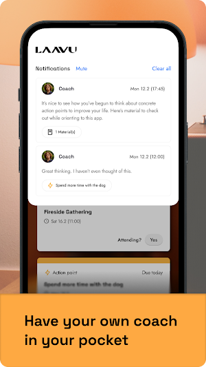Laavu Performance Screenshot 3