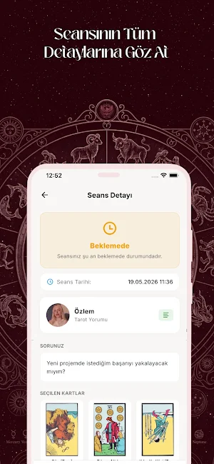 Falyade Screenshot 2