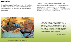 The Kelp Forest: A Young Explorer's Guide ebook Screenshot 2