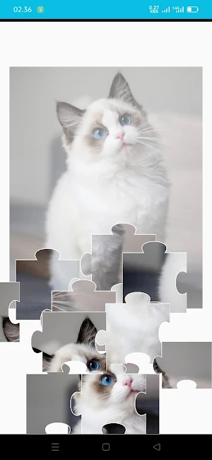 Puzzle For Adult Game Cat Screenshot 2