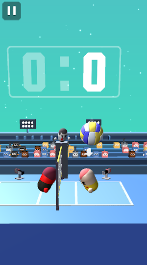 Funny 3D Amazing Volleyball Screenshot 1