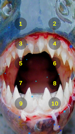 Piranha Teeth Chatter Sounds Screenshot 0