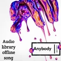 Audio library offline song