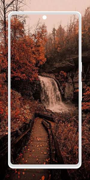 I love Wallpapers - Gld Screenshot 3