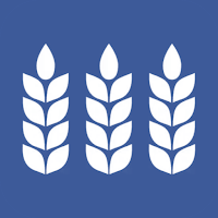 Lachstock Core