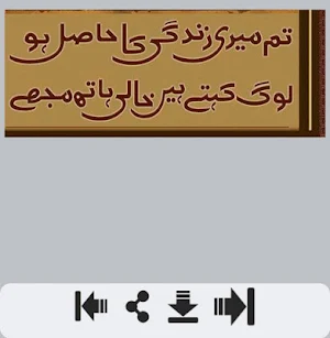Zindagi Shayari Screenshot 1