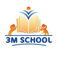 3M