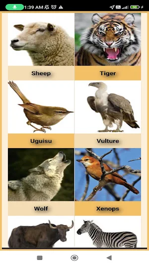 Animal Sounds Alphabetical Screenshot 1