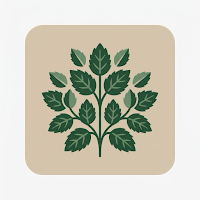 Herb Mint Bush