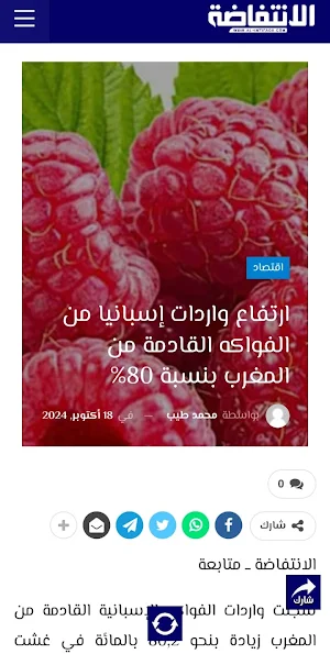 Al intifada - جريدة الانتفاضة Screenshot 1