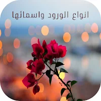 انواع الورود واسمائها