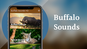 Buffalo Sounds Screenshot 1