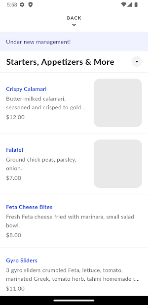 Gyro City Grill Screenshot 2