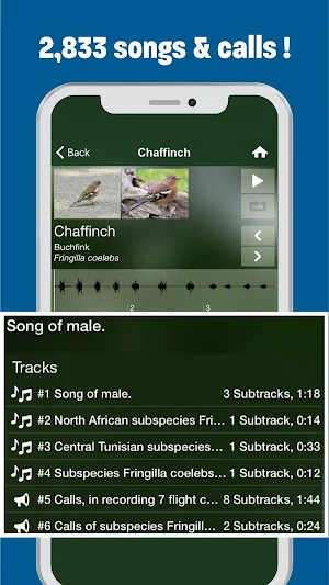 BIRD SONGS Europe, North Africa + Middle East Screenshot 1