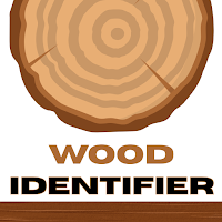 Wood Identification