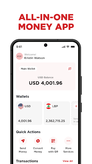 PayPlus Screenshot 0