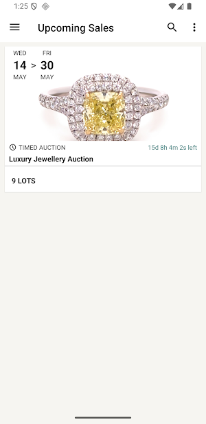 Luxury Brand Jewellery Auction Screenshot 0