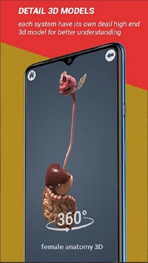 Female Anatomy3D Female Organs Screenshot 0