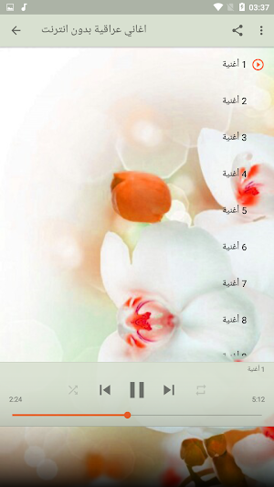 كوكتيل اغاني عراقيه قديمه بدون نت arani iraqiya Screenshot 1