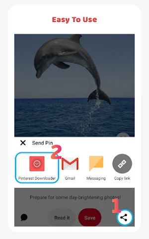 Video Downloader For Pinterest - Photo & GIF Screenshot 0