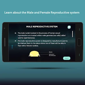 Reproduction in Humans Screenshot 2