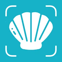 SeaShell Identifier - Shellium
