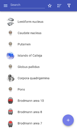Brain Screenshot 0