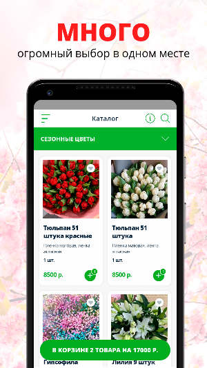Aura цветы lux club | Сочи Screenshot 0