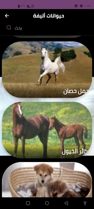 حيوانات أليفة Screenshot 3