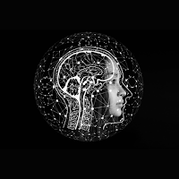 Memory Brain Game
