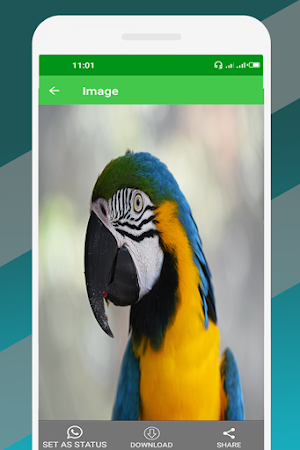 Status Saver : Download Status & Videos Screenshot 2