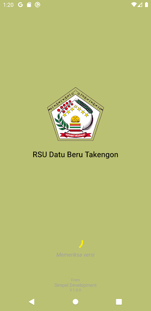 Antrian RSU Datuberu Takengon Screenshot 0