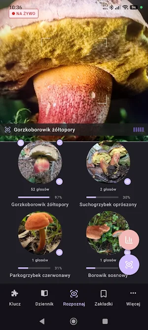 Atlas grzybów offline Screenshot 0