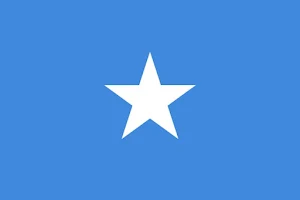 Somalia Analog Watch Face Screenshot 2