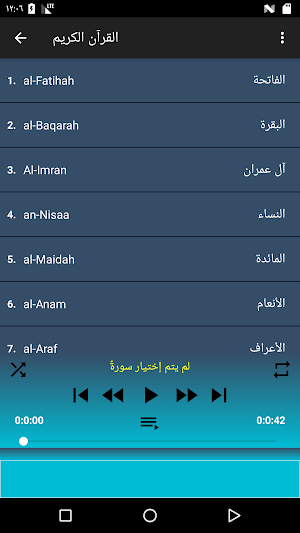 Hani Ar Rifai Quran offline Screenshot 0
