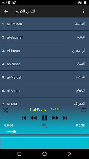 Hani Ar Rifai Quran offline Screenshot 3