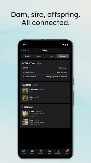 Livestockstar Screenshot 3