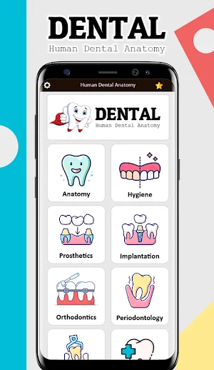 Dental Anatomy Screenshot 1