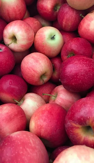 Apple Wallpaper 4K Screenshot 1
