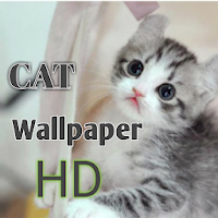 Cat Wallpaper HD