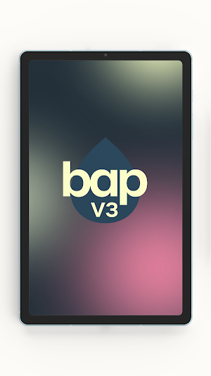 BAP Screenshot 3