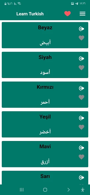 Learn Turkish for beginners Screenshot 3