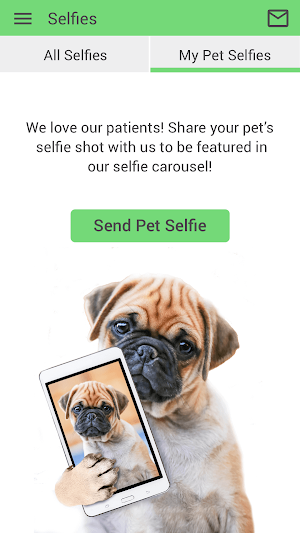 NCVC 4 Paws Screenshot 1
