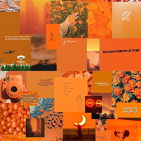 Orange wallpapers hd