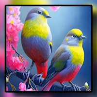 Beautiful Bird Wallpapers
