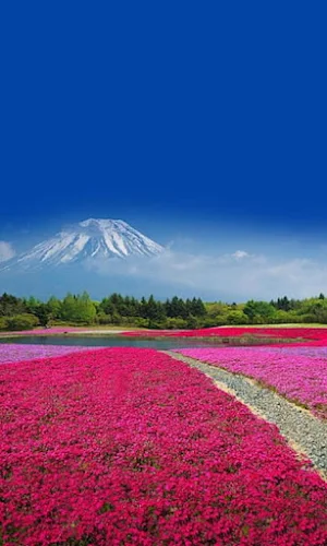 Nature Wallpapers Screenshot 0