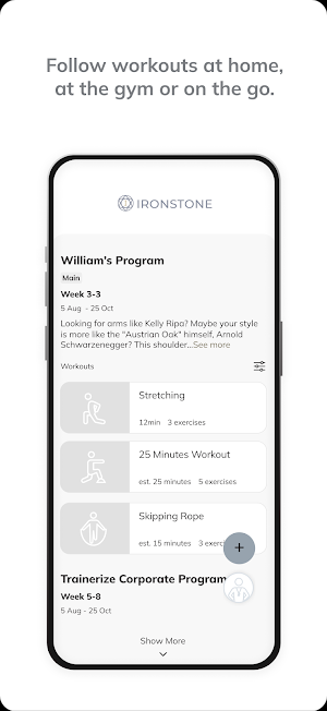Ironstone Screenshot 2