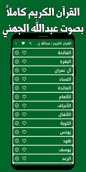 قران كامل بصوت الجهني بدون نت Screenshot 0